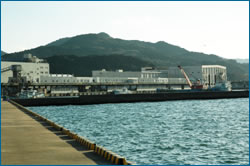 あじ・さば水揚げ日本一を誇る全国有数の産地市場、長崎県松浦魚市場